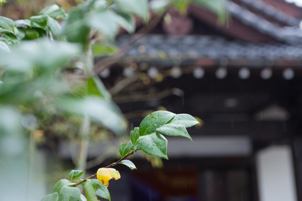 Kashoen Hanare Kai Kyotango Exterior foto